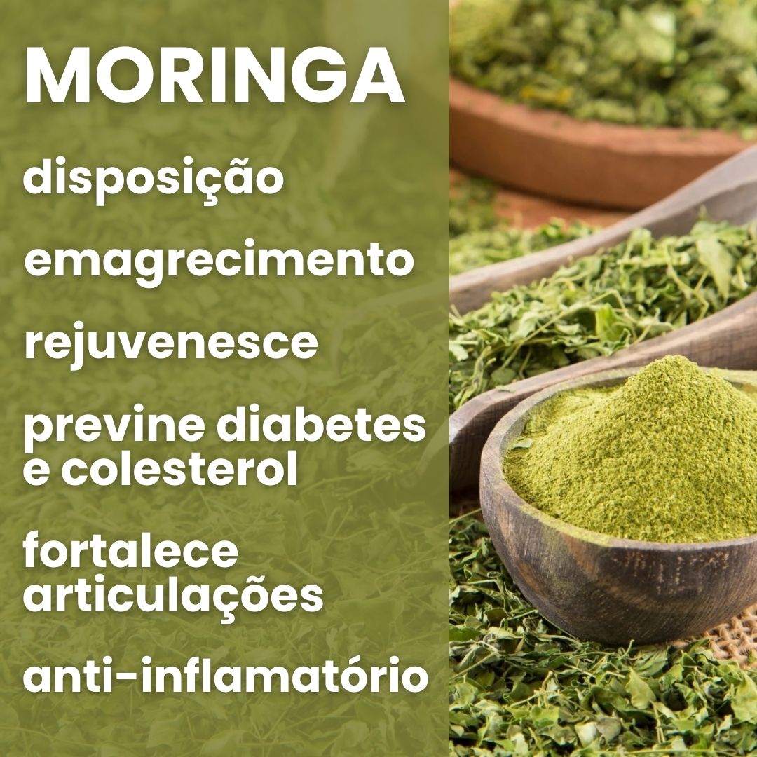 Moringa - 100% pura