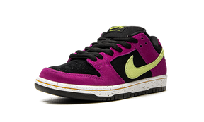 Nike SB Dunk Low ACG Terra Red Plum