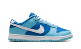 Nike Dunk Low Retro Argon