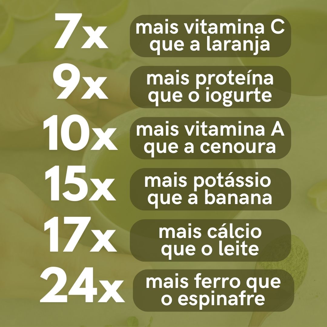 Moringa - 100% pura