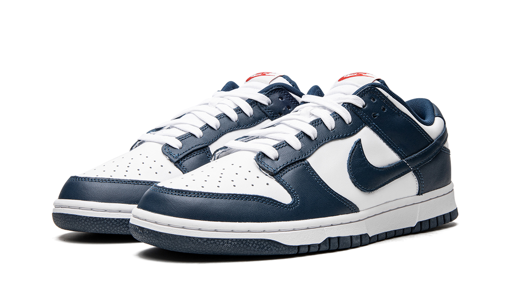 Nike Dunk Low Valerian Blue