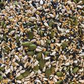 Mix de sementes - chia, linhaça, girassol, abóbora, gergelim