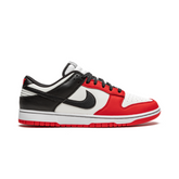 Nike Dunk Low NBA