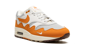 Nike Air Max 1 Patta Waves Monarch