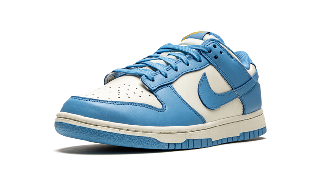 Nike Dunk Low Coast