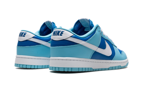 Nike Dunk Low Retro Argon