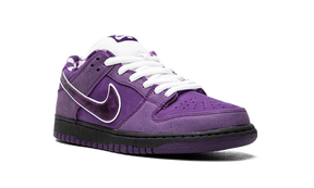 Concepts x Nike Dunk Low Purple Lobster